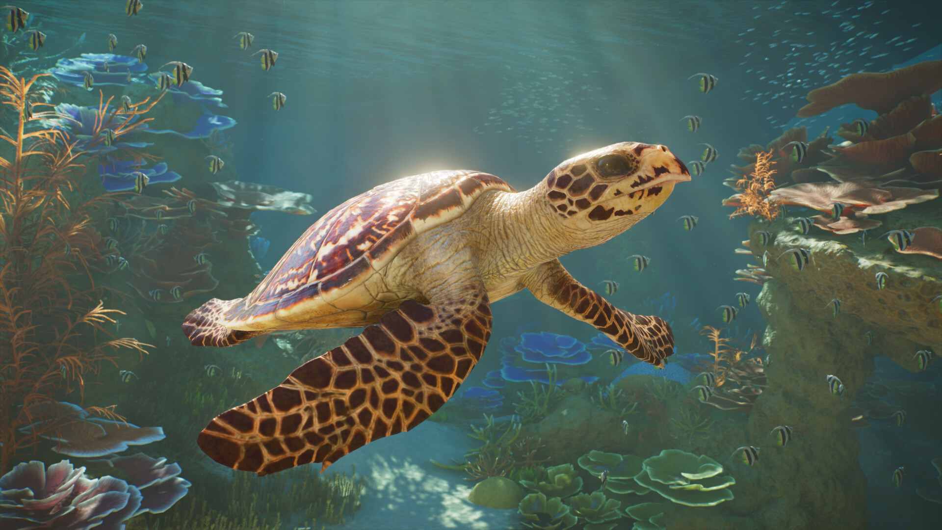 Planet Zoo 2 - Key Game Steam Online - Việt Hóa screenshot