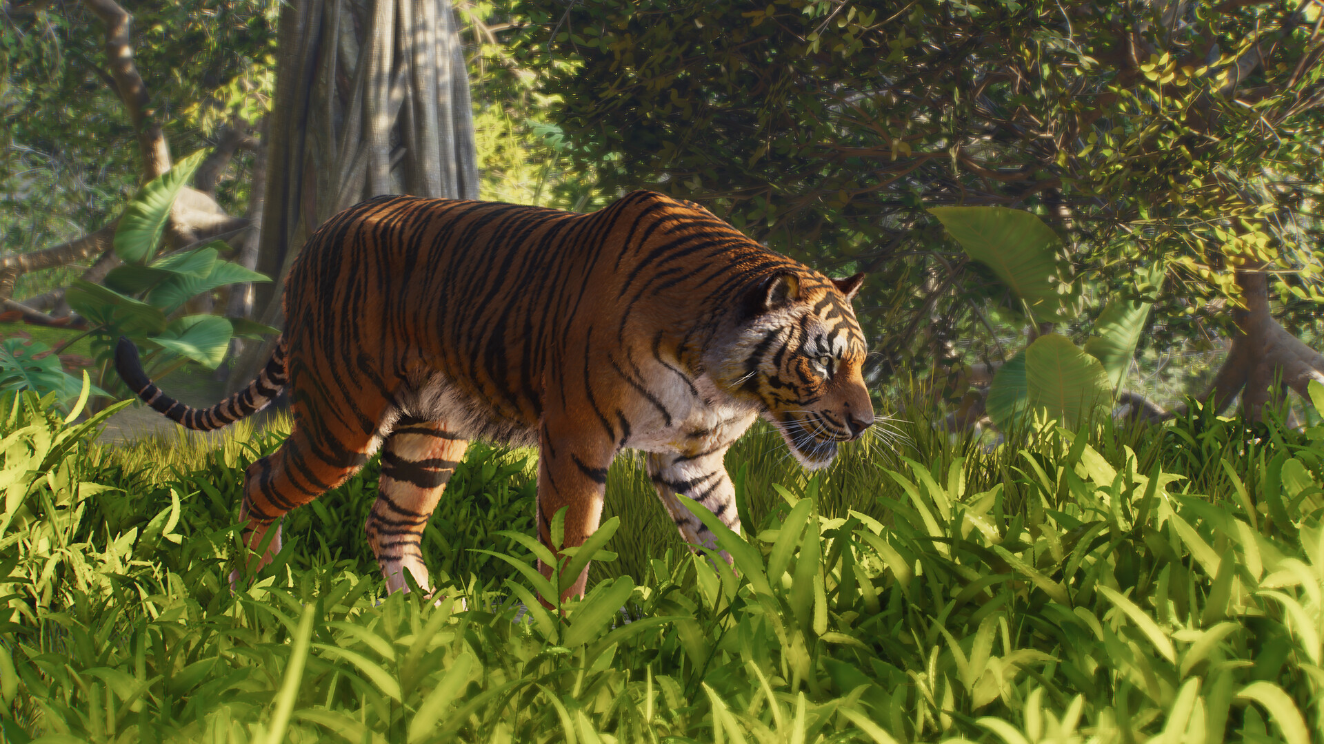 Planet Zoo 2 - Key Game Steam Online - Việt Hóa screenshot